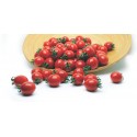 Axion F1 Kokteyl Domates Fidesi