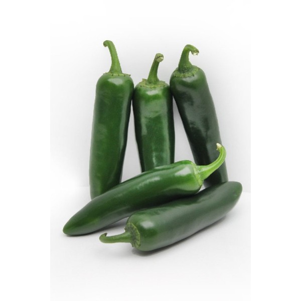Barut F1 Jalapone Biber Fidesi