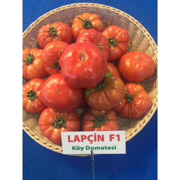Lapçin F1 Köy Domatesi Fidesi