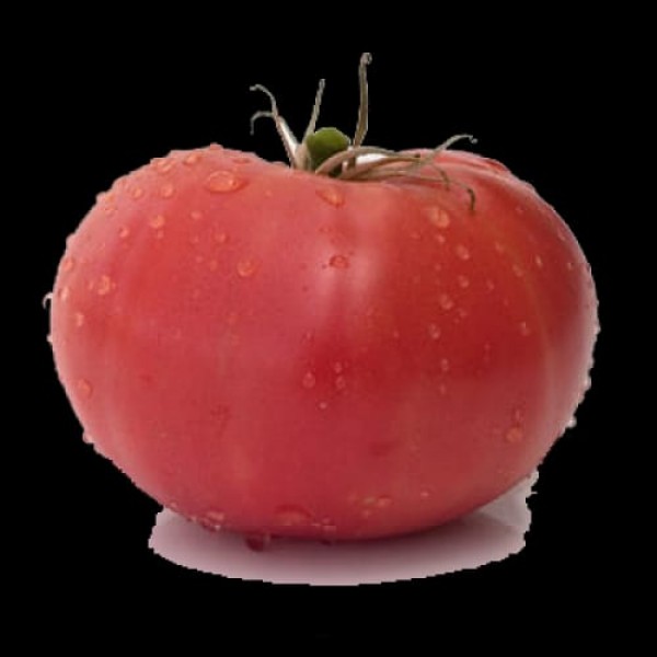Pink Rice F1 Pembe Domates Fidesi